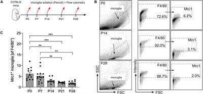 Inhibition of Microglial TGFβ Signaling Increases Expression of Mrc1